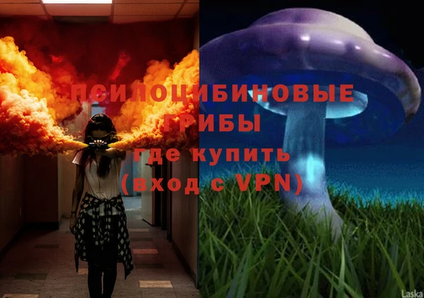 винт Алексеевка