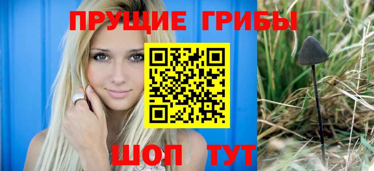 Галлюциногенные грибы MAGIC MUSHROOMS Полысаево